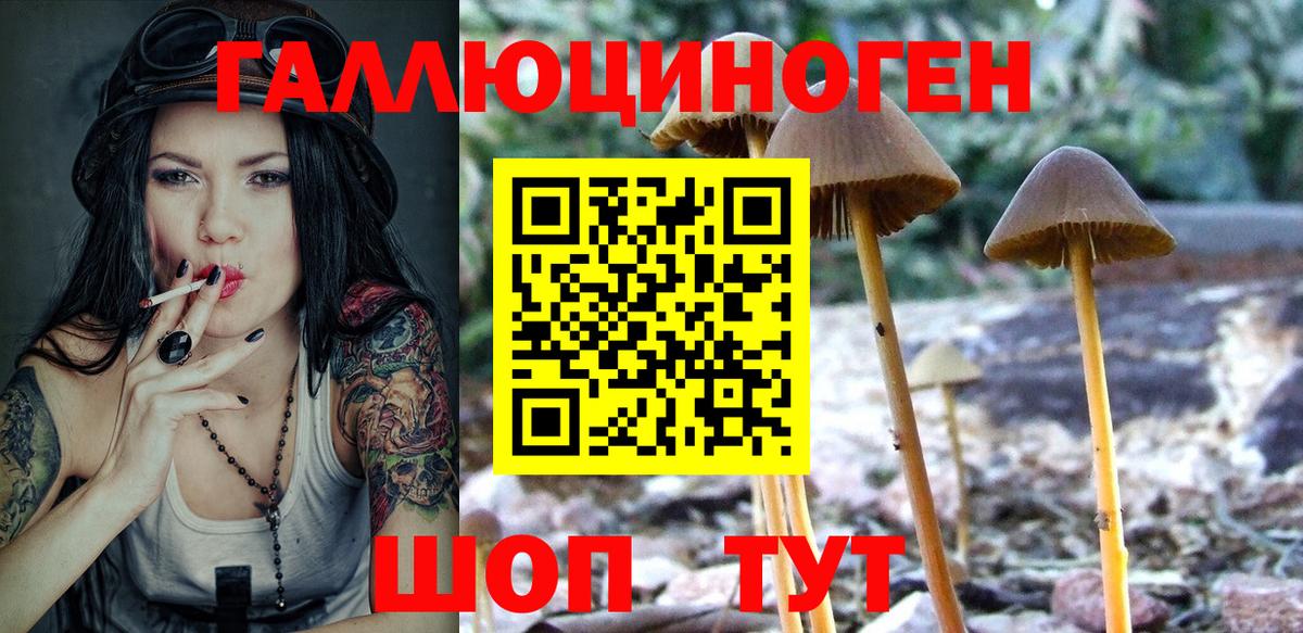 Северобайкальск  Галлюциногенные грибы Magic Shrooms  Вход с VPN  Галлюциногенные грибы GOLDEN TEACHER 